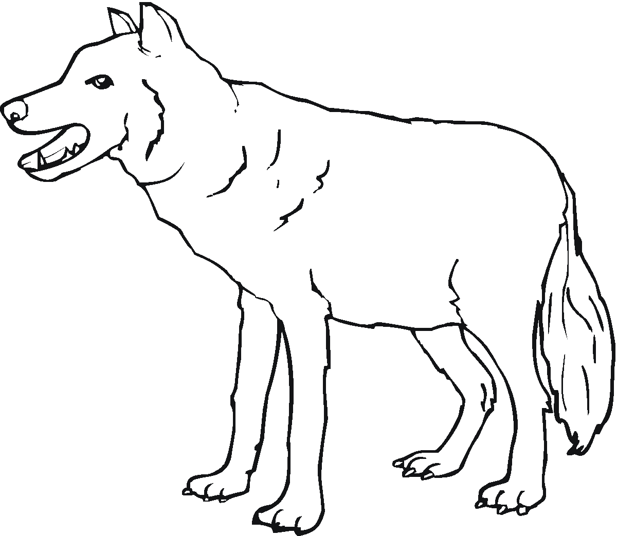 Explore Stimulating Wolf Colouring In Scouring Classify Your Joke ...