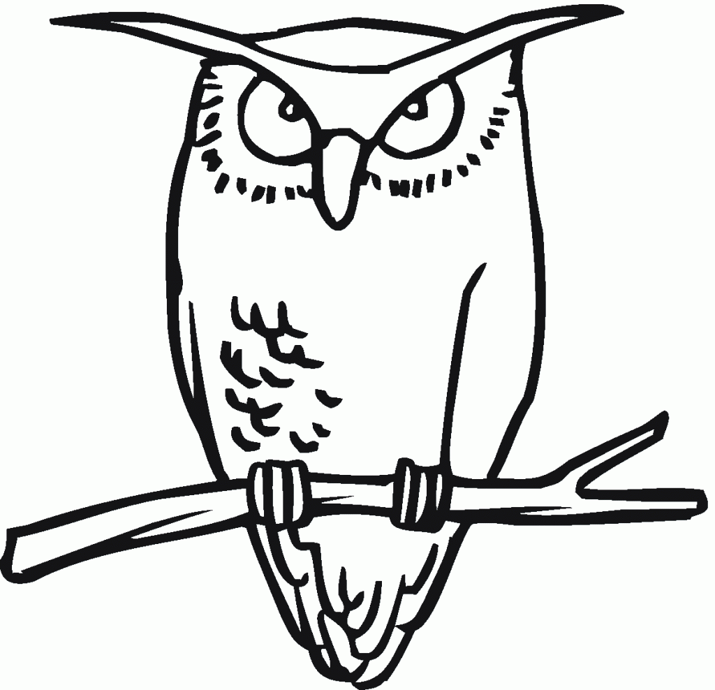 Hibou grand-duc d'Amérique Coloring Page