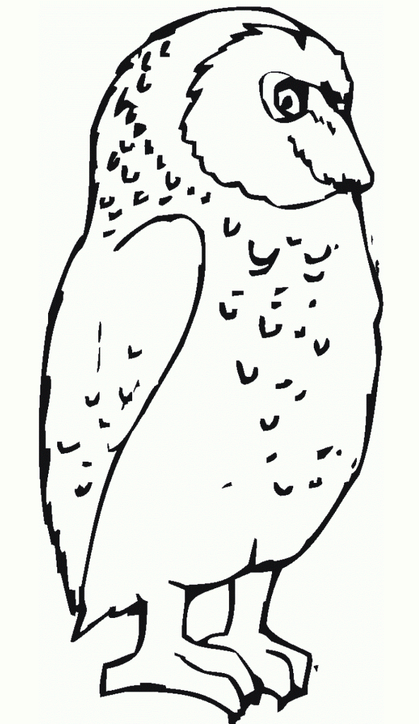 Great Horned Owl Coloring Pages