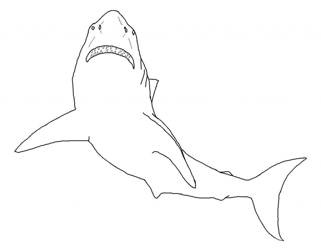 Great White Shark Coloring Pages