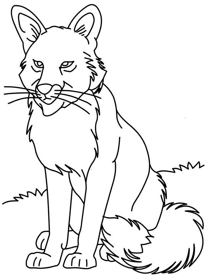 free printable wolf coloring pages for kids