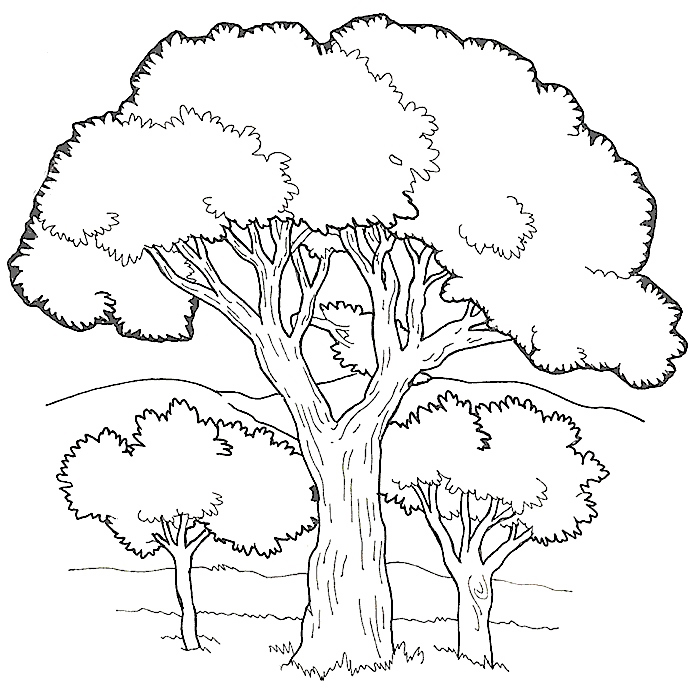 Group Oftrees Coloring Page