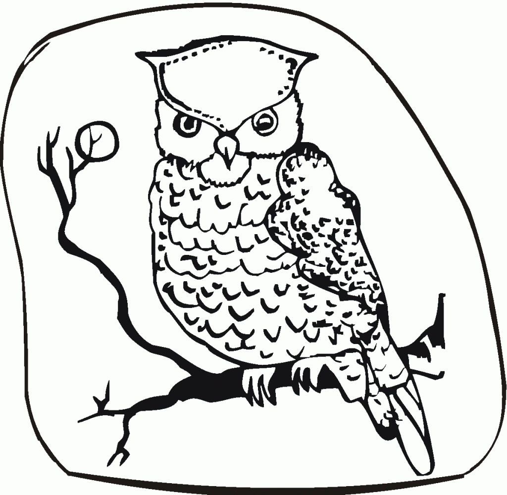 Pages de coloriage sur le hibou d'Halloween