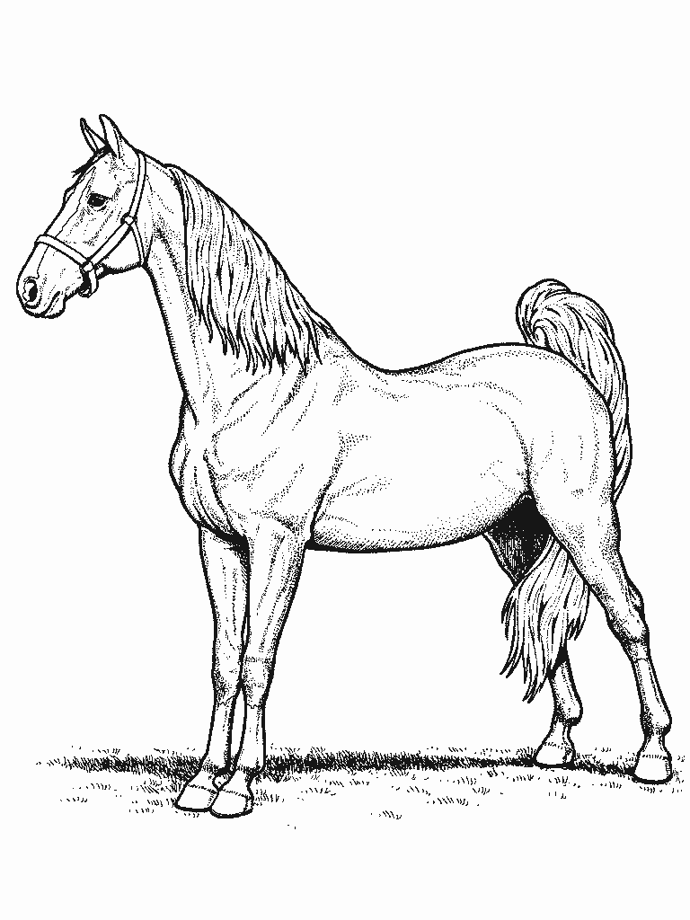 Horse Coloring Page