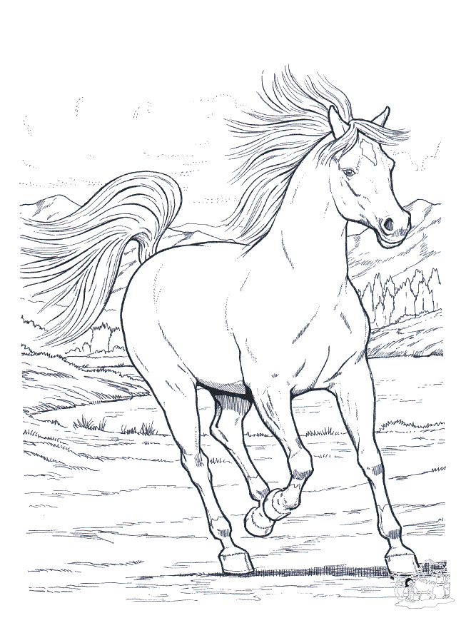 Horse Coloring Pages For Kids