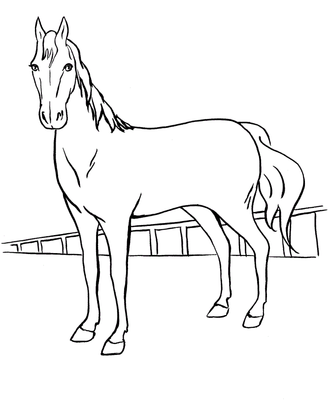 Horse Coloring Pages Kids