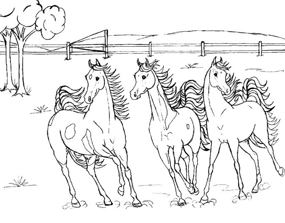 Horse Coloring Pages Online
