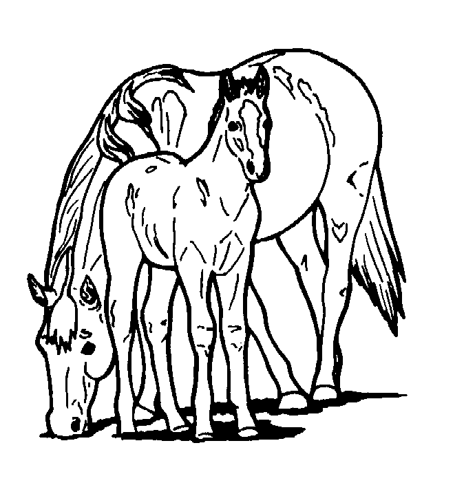 free-printable-horse-coloring-pages-for-kids