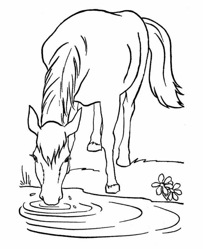 Horses Coloring Pages Printable