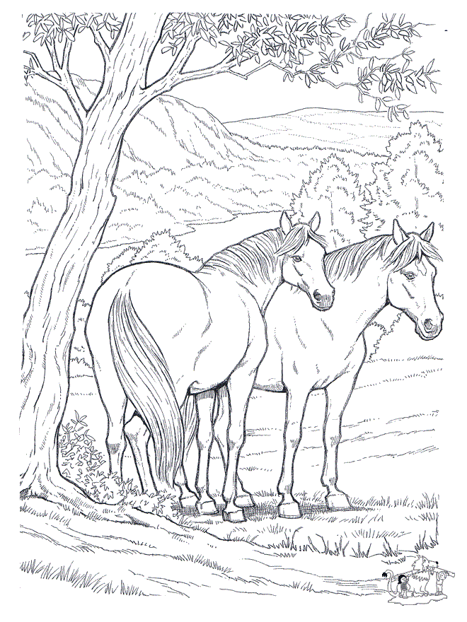 Horses Coloring Pages