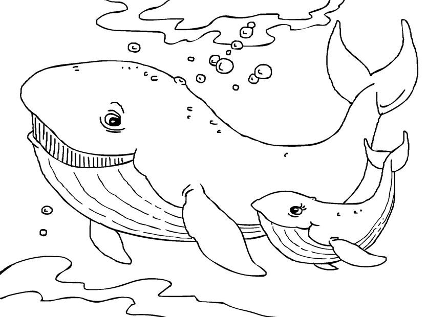 Wale Coloring Pages 3