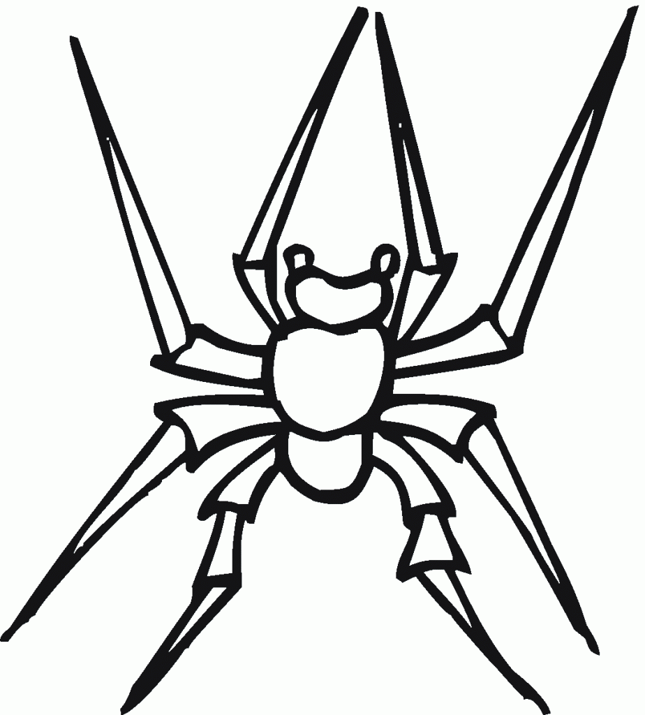 Images of Spider Coloring Pages