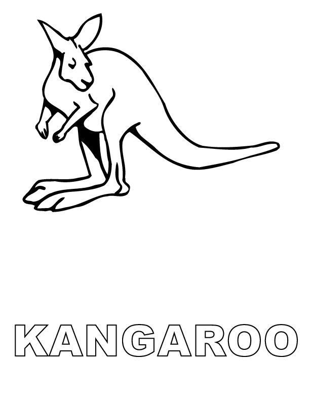 Kangaroo Color Page