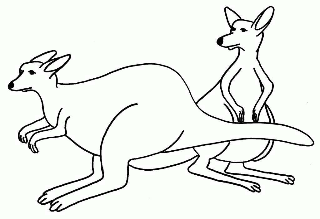 Kangaroo Coloring Page