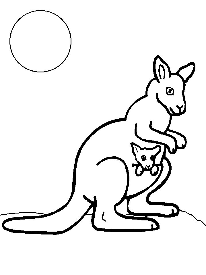 Kangaroo Coloring Page Photos