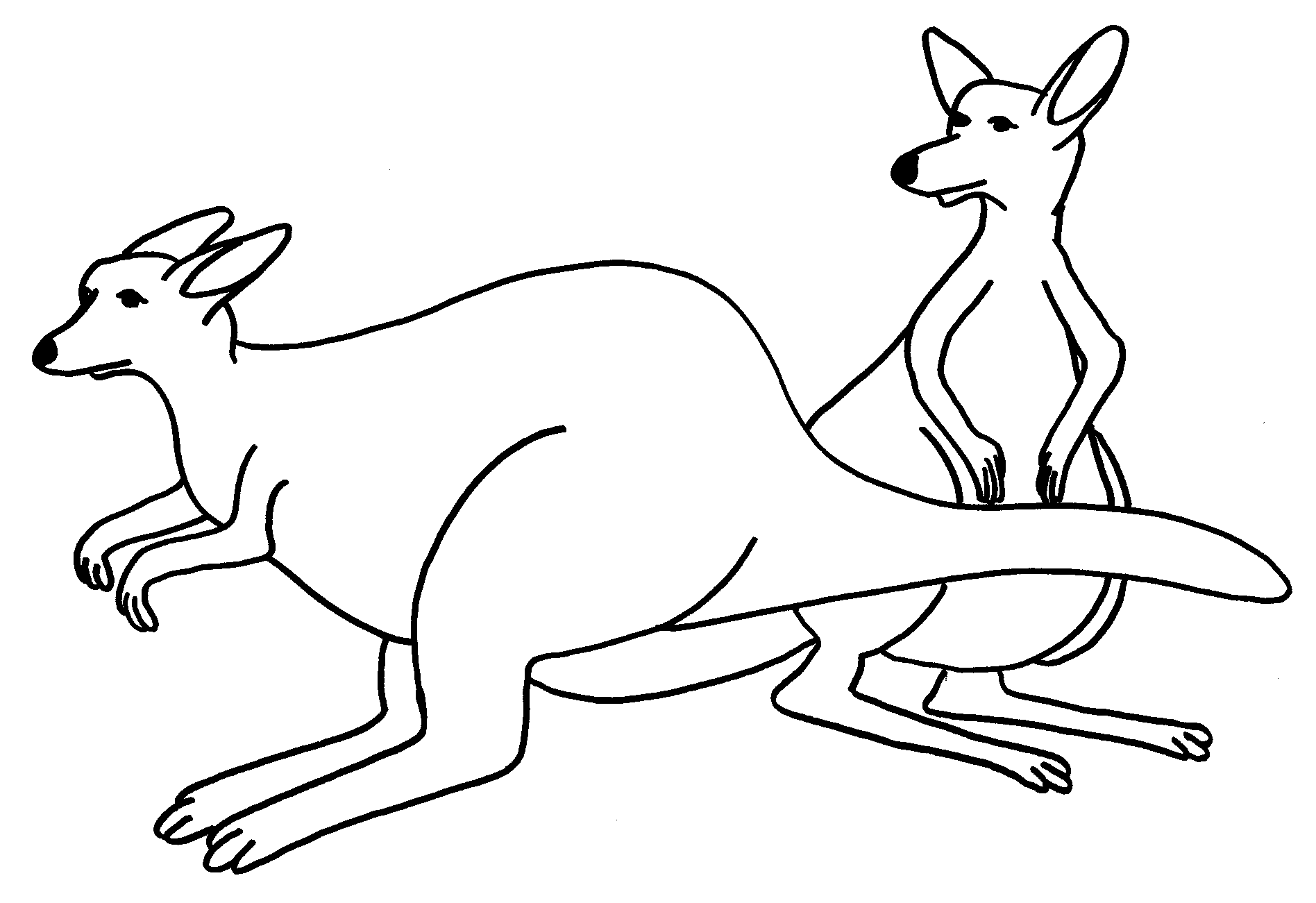 Free Printable Kangaroo Coloring Pages For Kids