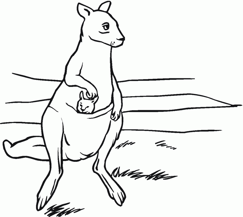 Kangaroos Coloring Page