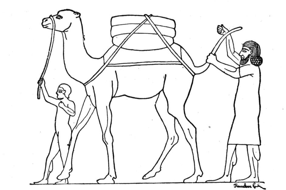 Kids Printable Camel Coloring Pages