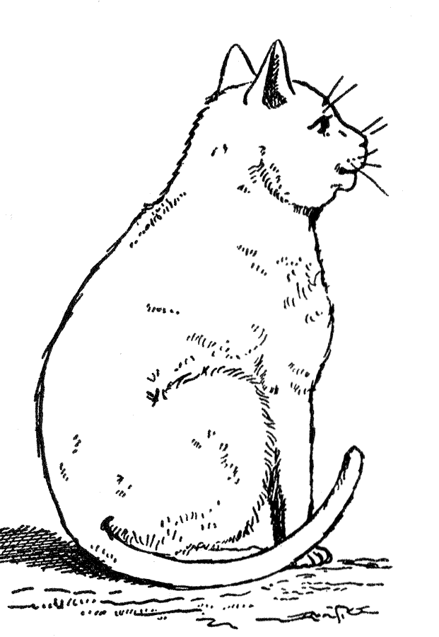 Kitty Cat Coloring Page