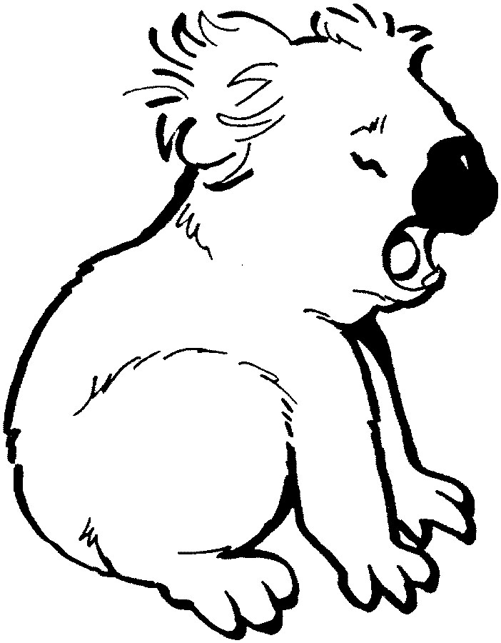 free printable koala coloring pages for kids animal place - koalas ...