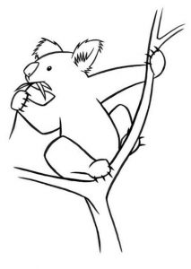 Free Printable Koala Coloring Pages For Kids