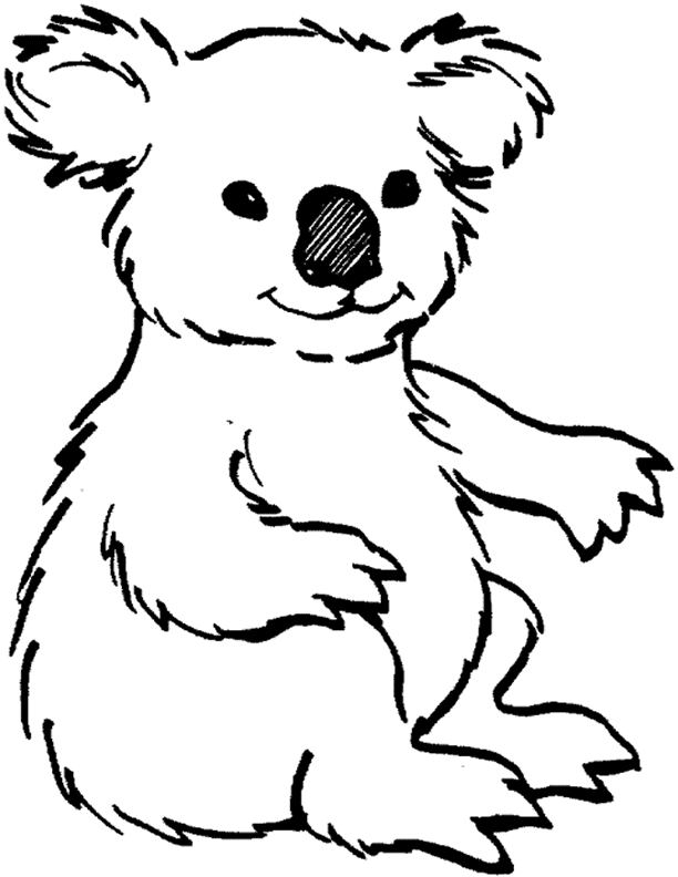 Download Free Printable Koala Coloring Pages For Kids