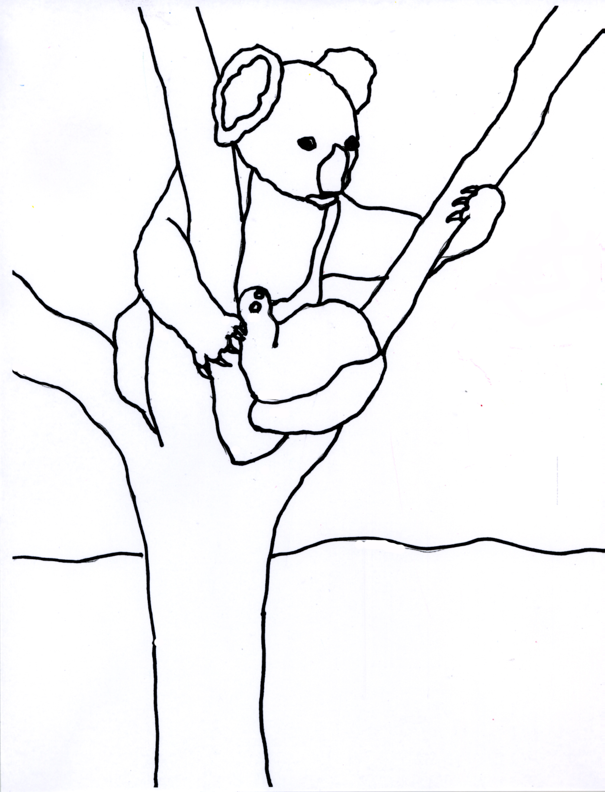 Раскраска коала на дереве