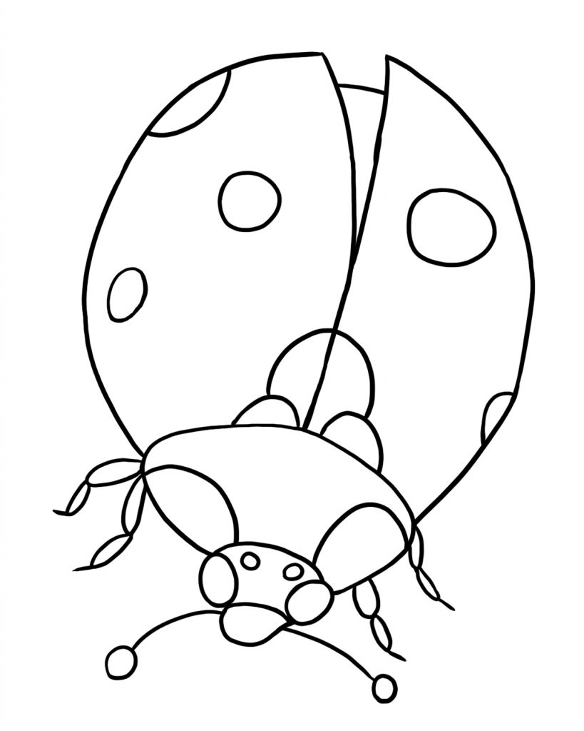 Lady Bug Coloring Page