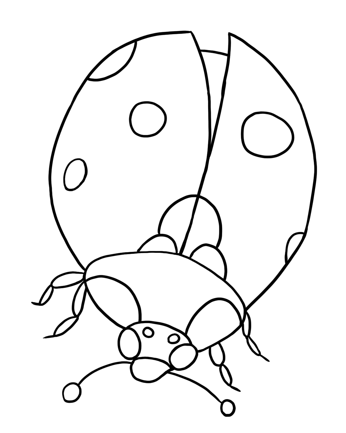 Ladybug Coloring Page