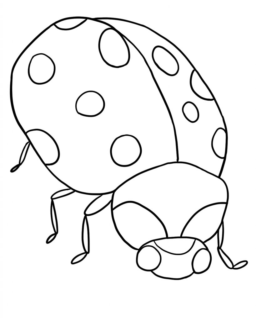 Ladybug Coloring Pages For Kids
