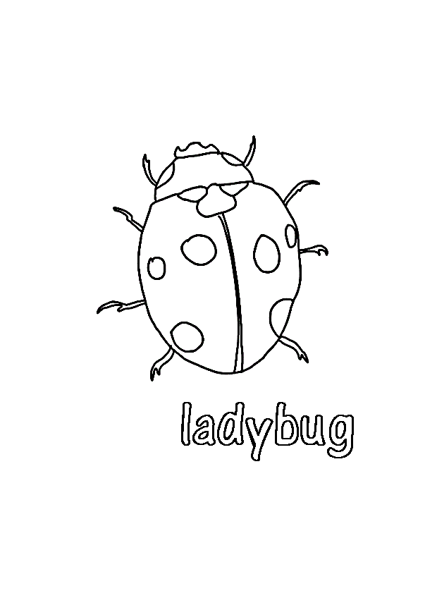 Ladybug Coloring Pages Kids