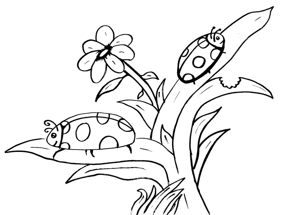 Free Printable Ladybug Coloring Pages For Kids