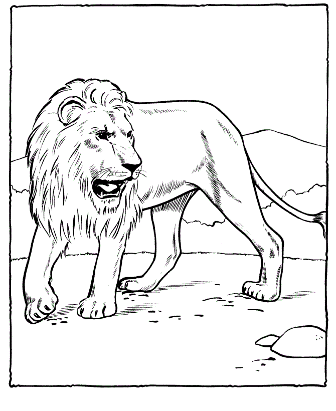 219 Animal Free Lion Coloring Pages with Animal character