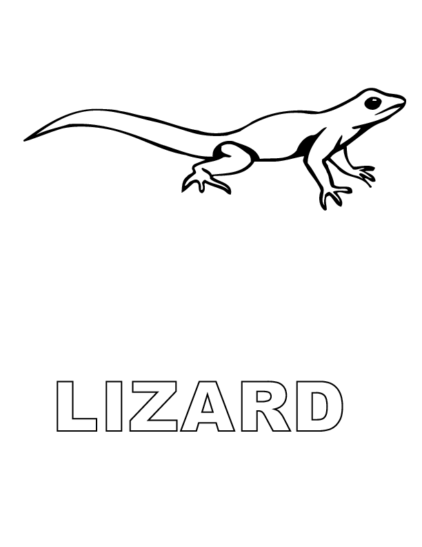 Free Printable Lizard Coloring Pages For Kids