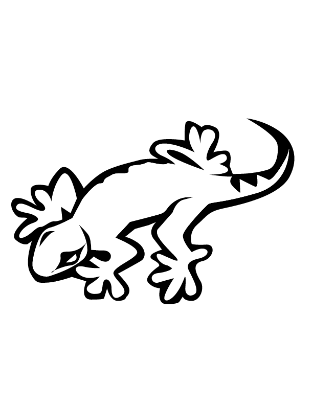 Lizard Coloring Pages Pictures