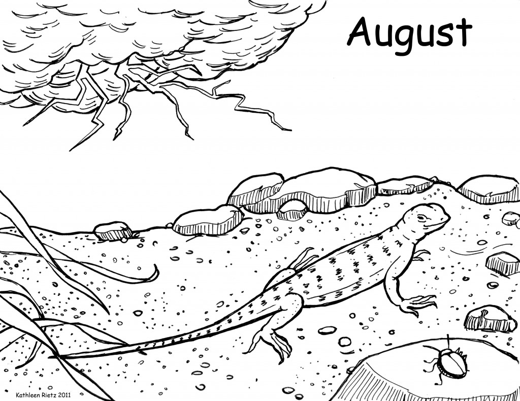 Lizard Coloring Pages Print
