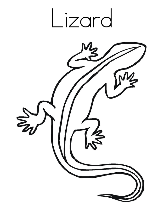 free-printable-lizard-coloring-pages-for-kids