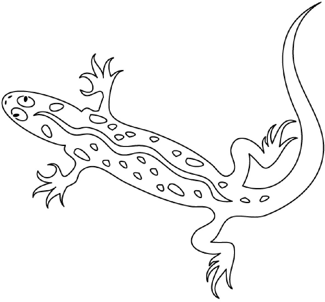 Free Printable Lizard Coloring Pages For Kids