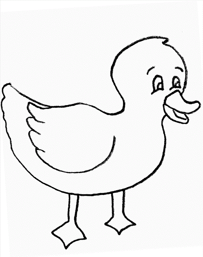 Free Printable Duck Coloring Pages For Kids