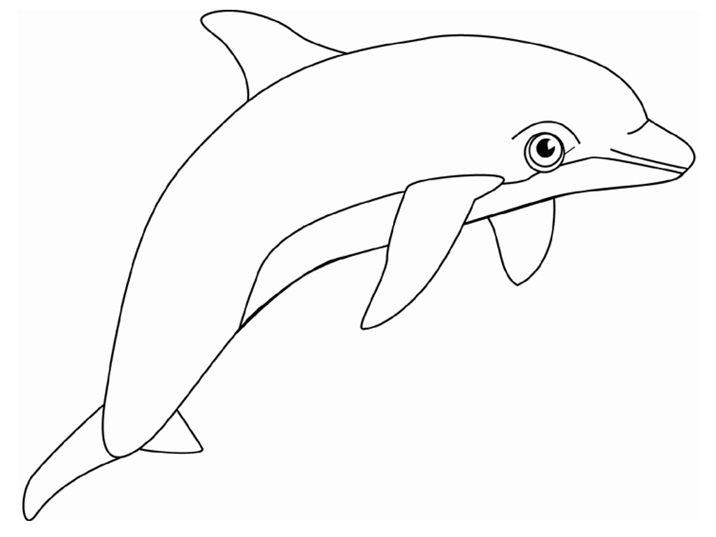 Mermaid and Dolphin Coloring Pages