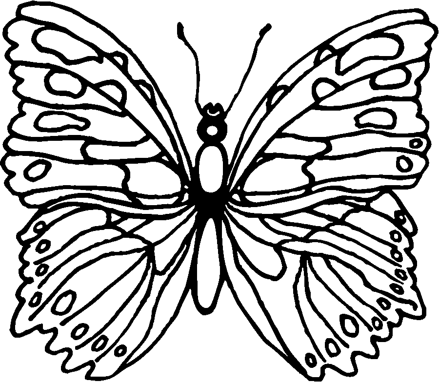 Monarch Coloring Page