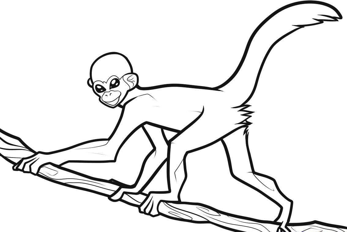 Free Printable Monkey Coloring Pages For Kids.