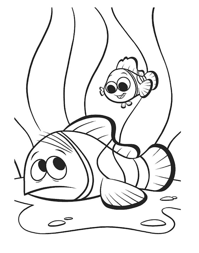 Nemo Coloring Pages Images