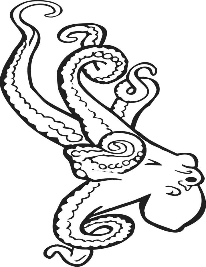 Octopus Coloring Pages Images