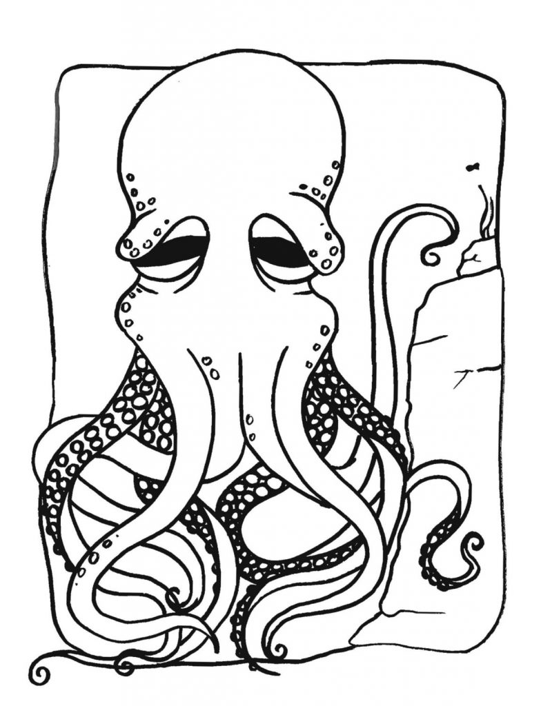 Octopus Coloring Pages Print