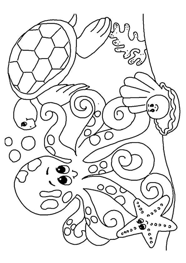 Octopus Turtle Starfish Clam Coloring Page