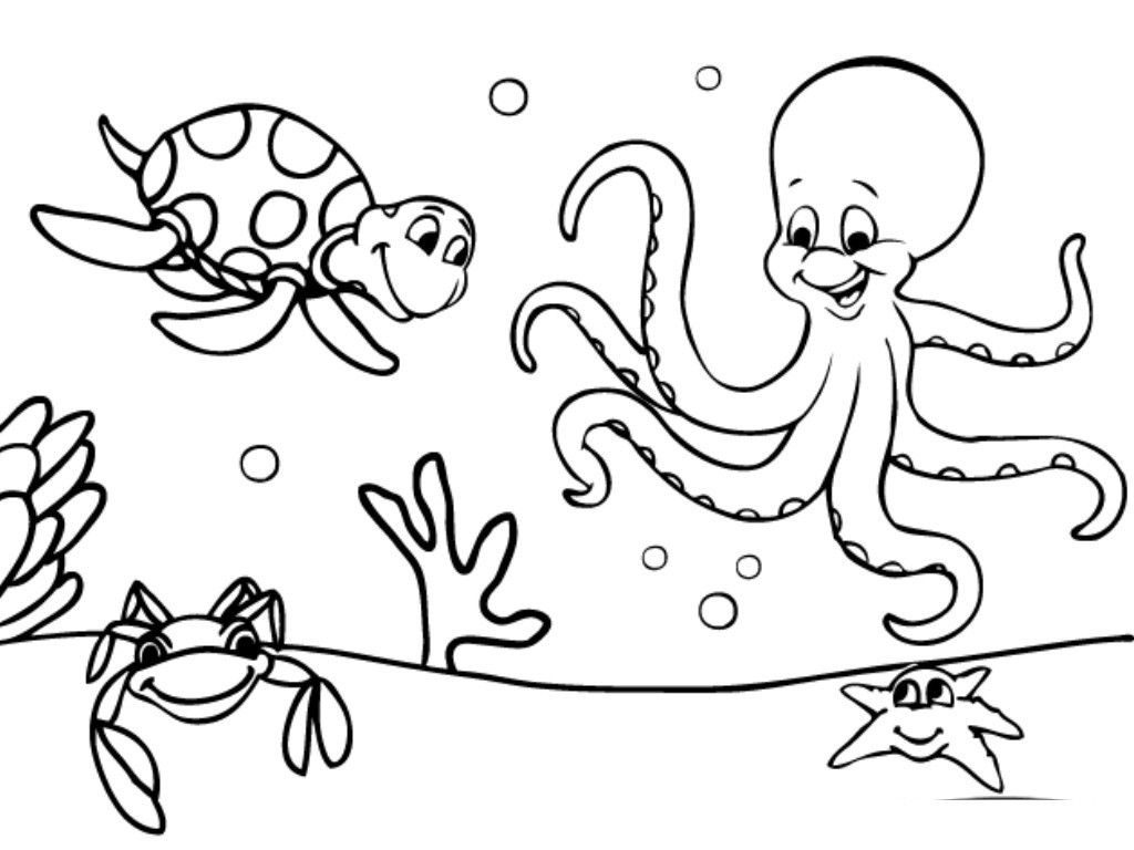 free sea plants coloring pages