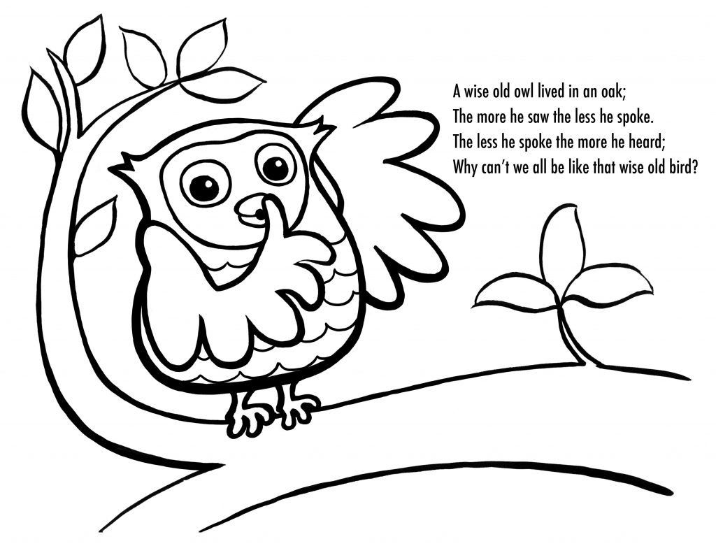 Page à colorier sur le hibou