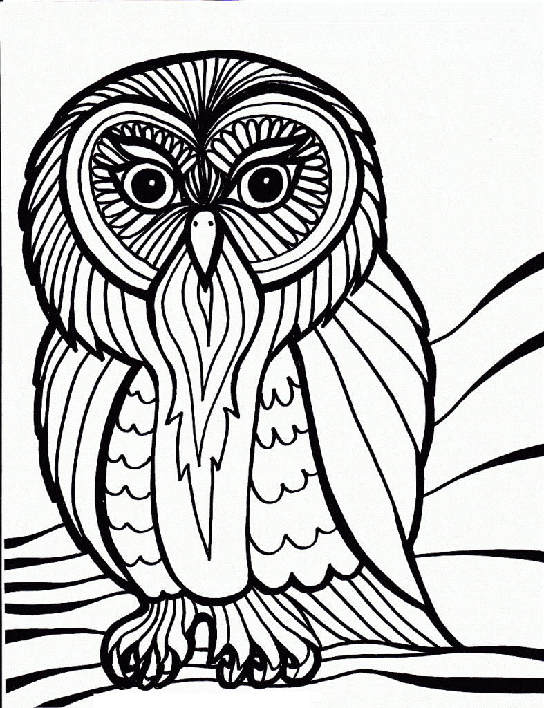 Owl Coloring Página