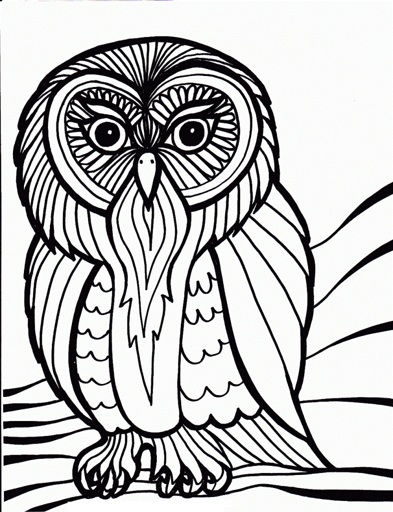 Owl Coloring Page